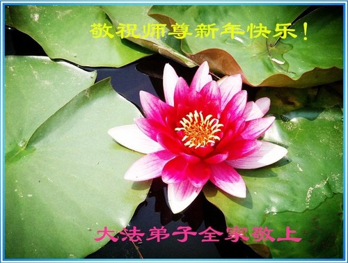Image for article Praticanti e sostenitori del Falun Gong inviano i loro auguri per il Nuovo Anno cinese al Maestro Li