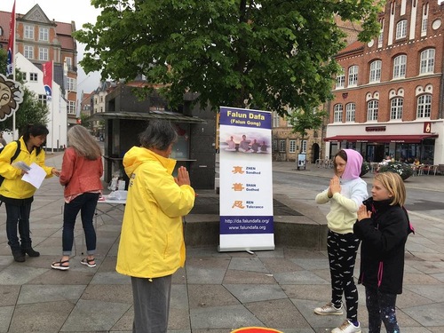 Image for article Danimarca, Aalborg: Introdurre il Falun Gong 