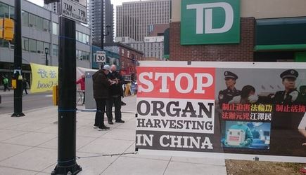 Image for article Ottawa, Canada: «Il PCC sbaglia a trattare le persone in questo modo» 