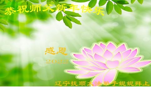 Image for article  I praticanti della Falun Dafa della provincia del Liaoning augurano rispettosamente al Maestro Li Hongzhi un felice anno nuovo (22 saluti)