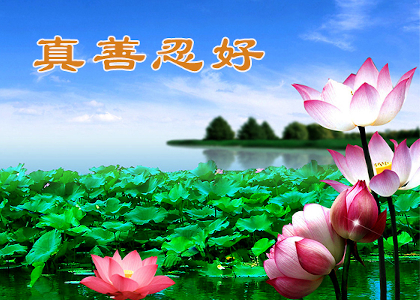 Image for article Taiwan: I lettori di Minghui esprimono apprezzamento per gli articoli che celebrano la Giornata Mondiale della Falun Dafa