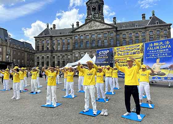 Image for article Paesi Bassi: Le ONG rilasciano dichiarazioni di sostegno durante l'evento per commemorare i 24 anni di impegno pacifico per porre fine alla persecuzione della Falun Dafa