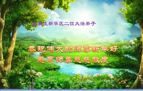 Image for article I praticanti della Falun Dafa della città di Shijiazhuang augurano rispettosamente al Maestro Li Hongzhi un felice anno nuovo (118 auguri)