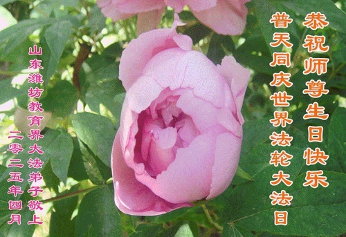 Image for article I praticanti della Falun Dafa del sistema educativo cinese celebrano la Giornata Mondiale della Falun Dafa (18 auguri)