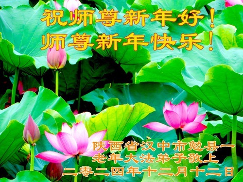 Image for article I praticanti della Falun Dafa della Provincia dello Shaanxi augurano con rispetto al Maestro Li Hongzhi un felice anno nuovo (18 auguri)