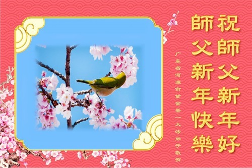 Image for article I praticanti della Falun Dafa della Provincia del Guangdong augurano con rispetto al Maestro Li Hongzhi un felice anno nuovo (21 auguri)