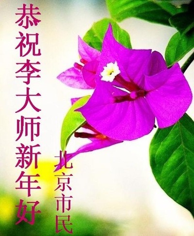 Image for article I sostenitori del Falun Gong cinesi augurano al Maestro Li Hongzhi un felice Anno nuovo cinese