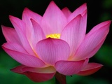 Image for article “Grazie alla Falun Dafa c'è speranza per la Cina”