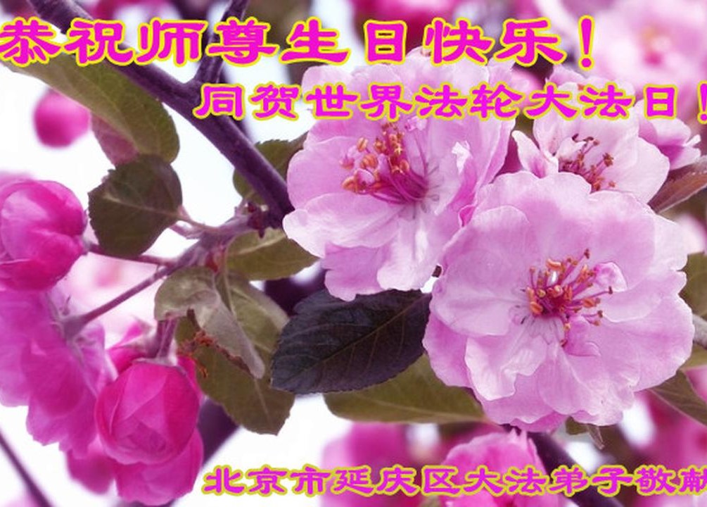 Image for article ​I praticanti della Falun Dafa di Pechino celebrano la Giornata mondiale della Falun Dafa e augurano rispettosamente al Maestro Li Hongzhi un buon compleanno (21 cartoline)