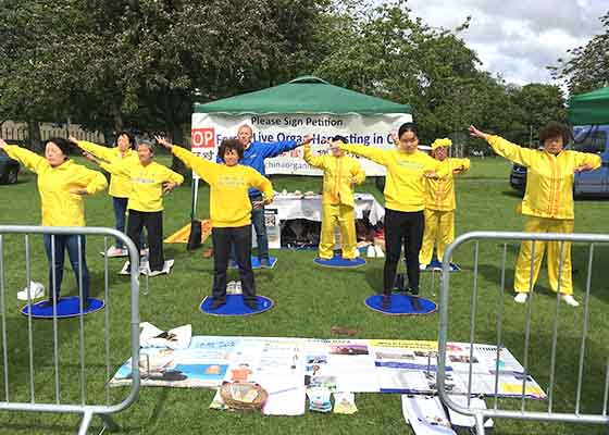 Image for article Scozia: Presentazione della Falun Dafa al Meadows Festival di Edimburgo