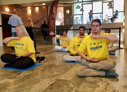 Image for article Svezia: il Falun Gong porta serenità al Festival della salute di Norrköping