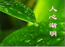 Image for article Una giovane non praticante: Provo gratitudine per la Falun Dafa e chiedo scusa per i miei errori