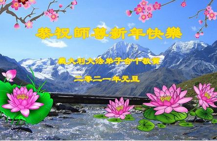Image for article I praticanti della Falun Dafa da Italia, Portogallo, Serbia e Cipro augurano rispettosamente al Maestro Li Hongzhi un felice anno nuovo