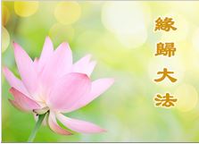 Image for article  La storia di coltivazione di una praticante della Falun Dafa di otto anni