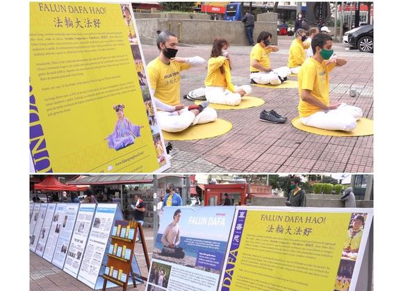 Image for article Brasile: I praticanti hanno organizzato diversi eventi per celebrare la Giornata Mondiale della Falun Dafa 