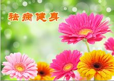 Image for article [Celebrare la Giornata mondiale della Falun Dafa] Bambino guarisce da una malattia rara della pelle 