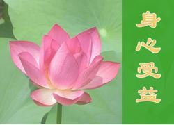 Image for article [Celebrare la Giornata mondiale della Falun Dafa] Gli sconfinati benefici della Falun Dafa