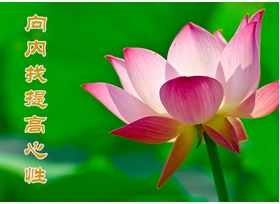 Image for article [Celebrare la Giornata Mondiale della Falun Dafa] Dalla donna più ostinata della città alla migliore vicina e amica