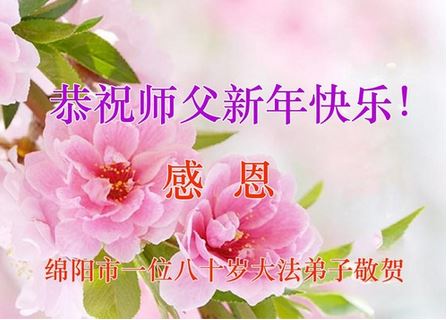 Image for article Seminare speranza: I praticanti della Falun Dafa in Cina augurano un felice anno nuovo cinese al Maestro Li