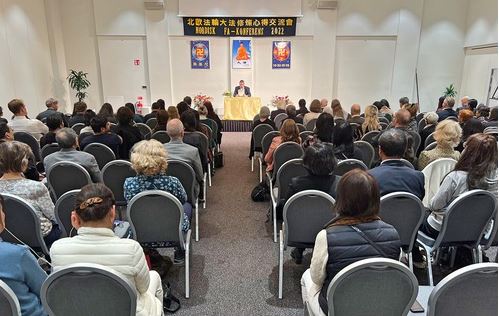 Image for article Svezia: Conferenza nordica di condivisione dell'esperienza della Falun Dafa a beneficio dei partecipanti 
