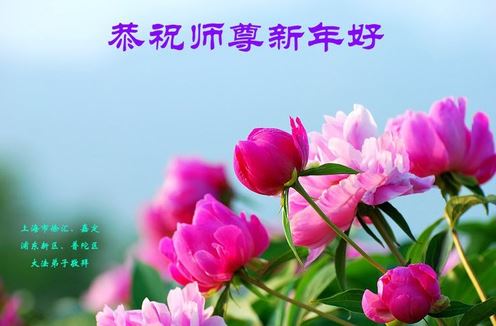 Image for article I praticanti della Falun Dafa di Shanghai augurano rispettosamente al Maestro Li Hongzhi un Felice Anno Nuovo Cinese (18 auguri) 