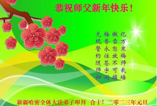 Image for article I praticanti di 30 province cinesi hanno inviato gli auguri di buon anno al Maestro Li