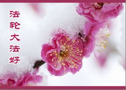 Image for article I principi della Falun Dafa mi mostrano come essere un’ottima insegnante