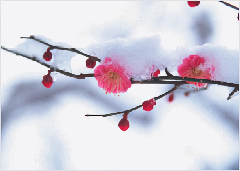Image for article Saggezza dei praticanti della Falun Dafa: La gentilezza e la compassione possono sbloccare i cuori delle persone