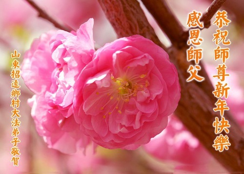 Image for article I praticanti della Falun Dafa nelle campagne della Cina augurano al Maestro Li Hongzhi un felice anno nuovo (19 auguri)