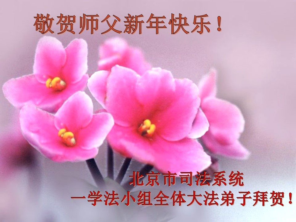 Image for article Praticanti e sostenitori della Falun Dafa che lavorano nel sistema giudiziario cinese augurano al venerabile Maestro Li Hongzhi un felice anno nuovo