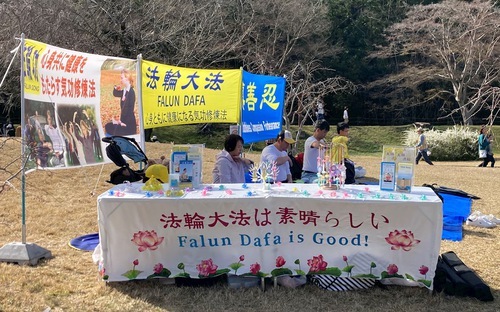 Image for article Giappone: Presentazione della Falun Dafa durante il festival della fioritura dei ciliegi