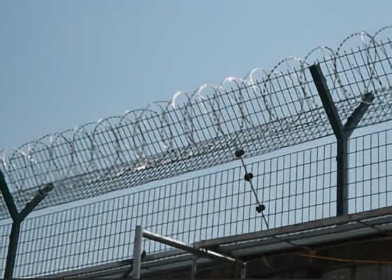 Image for article Heilongjiang, notizie tardive: Arboricoltore sviluppa un disturbo mentale durante la detenzione ingiusta e muore mesi dopo
