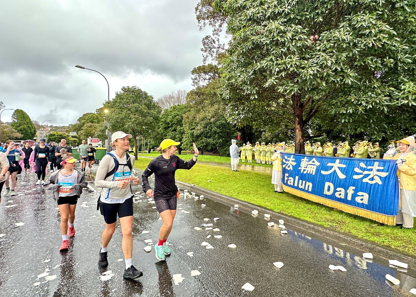 Image for article Sydney, Australia: Presentazione della Falun Dafa alla City2Surf Fun Run