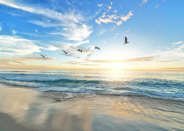 Image for article Il Maestro ha salvato mio marito dall’annegamento nel mare in tempesta