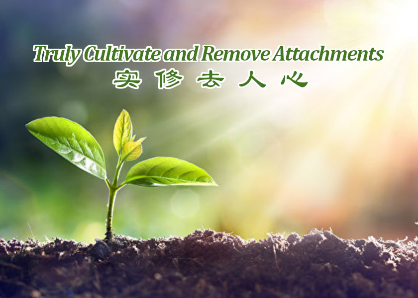 Image for article La Falun Dafa mi ha risvegliata e guidata sulla retta via