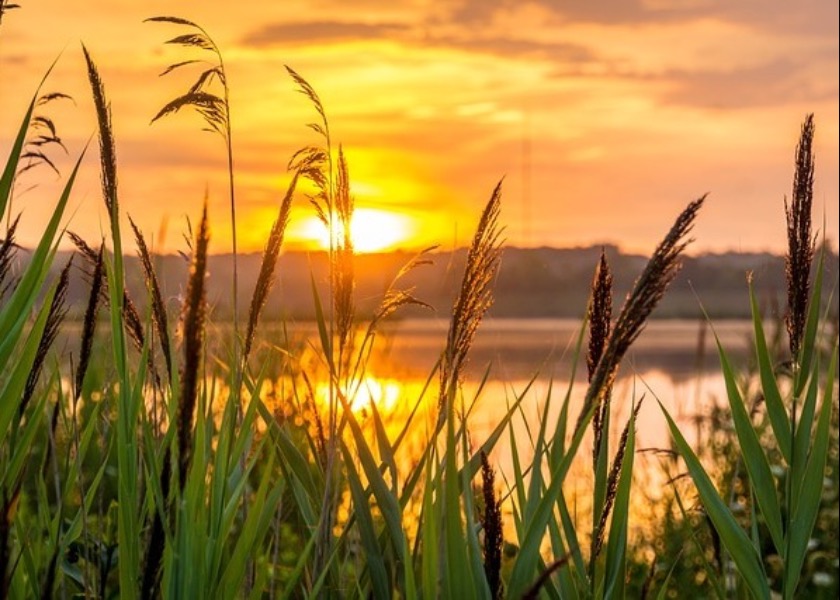 Image for article La Falun Dafa mi ha salvato dall'abisso della tossicodipendenza