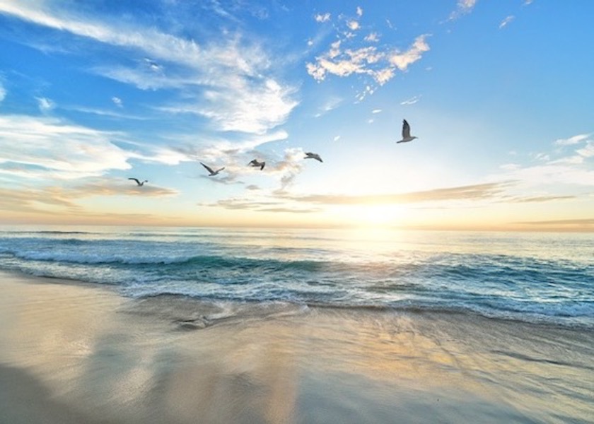 Image for article Il mio percorso di crescita personale mentre lavoravo nei media