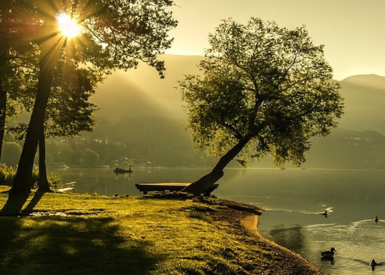 Image for article Il mio percorso di coltivazione