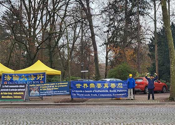 Image for article Francia: I praticanti del Falun Gong hanno organizzato un evento durante le riunioni del Consiglio d'Europa sui diritti umani