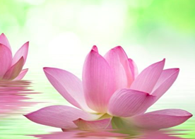 Image for article Far tesoro dell’ambiente di coltivazione all’estero