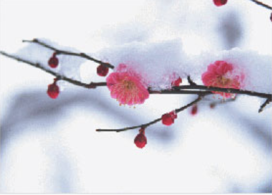 Image for article Percorrere migliaia di chilometri per salvare gli altri e coltivare me stesso