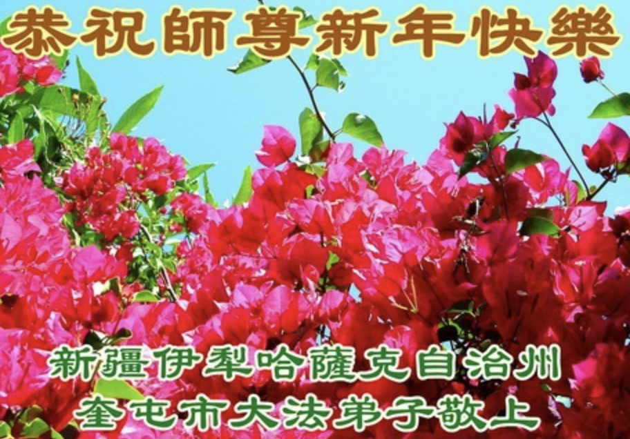 Image for article I praticanti della Falun Dafa appartenenti a diversi gruppi etnici in Cina augurano al Maestro Li Hongzhi un felice anno nuovo
