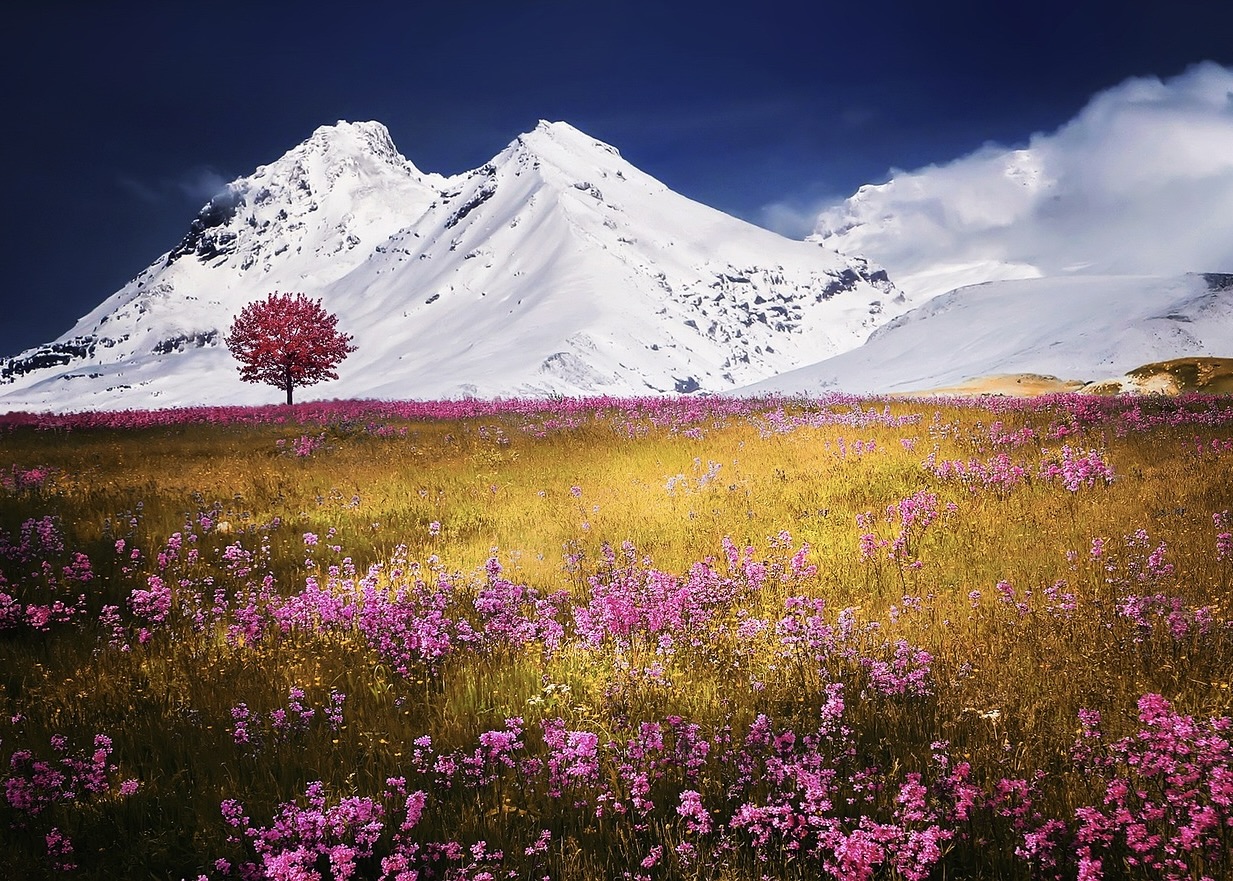 Image for article Il Maestro è sempre stato al mio fianco durante gli alti e bassi della mia coltivazione