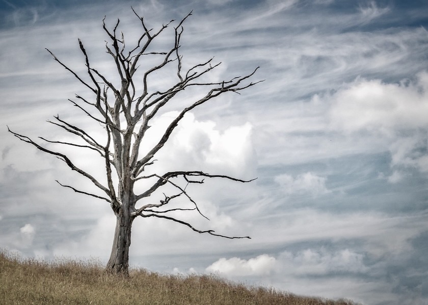 Image for article Liaoning, notizie tardive: Una donna è deceduta a causa della persecuzione del Falun Gong