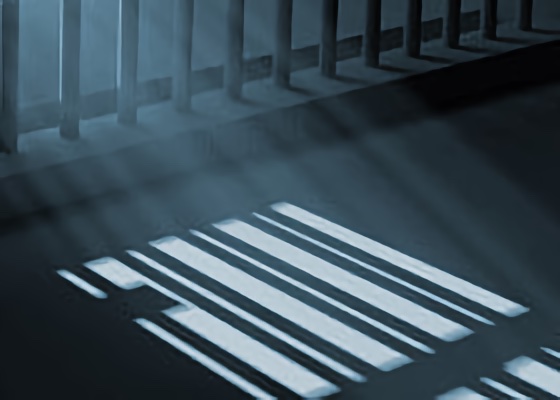 Image for article Heilongjiang: Donna di 74 anni condannata a due anni e mezzo di carcere perché pratica il Falun Gong