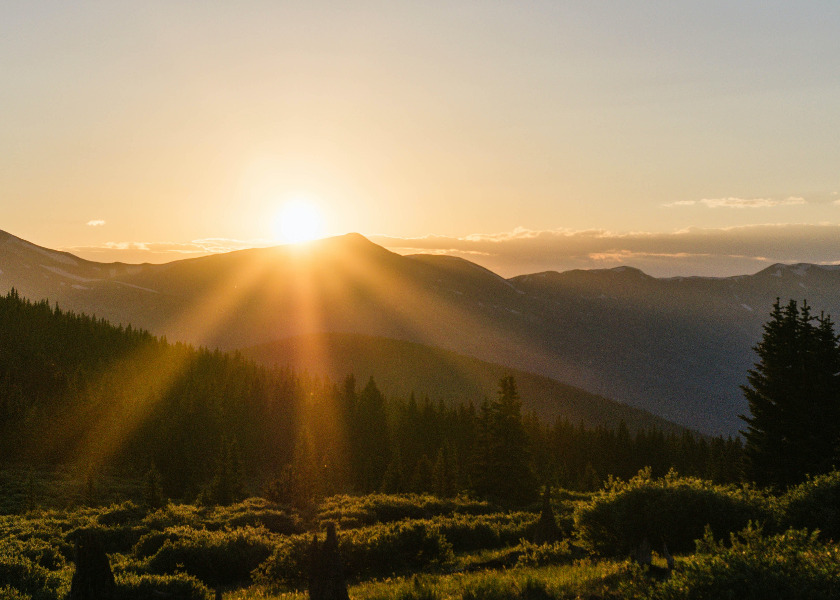 Image for article Benedizioni dal Divino: Da George Washington all’imperatore Wu della dinastia Han