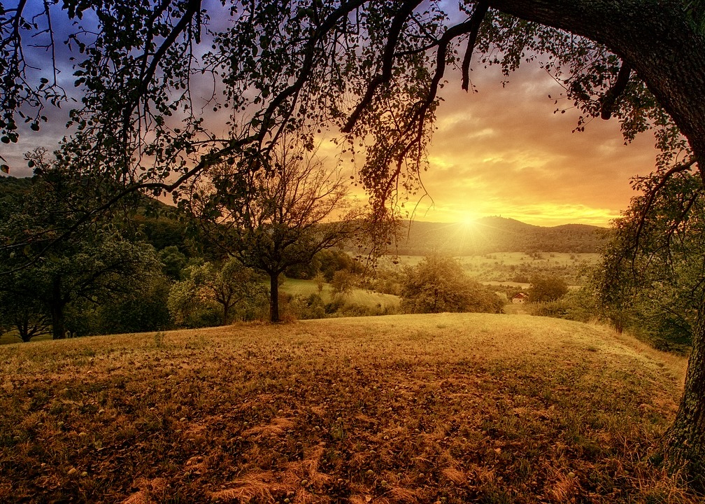 Image for article Agente di polizia: “La Falun Dafa ha portato due miracoli nella tua vita!”