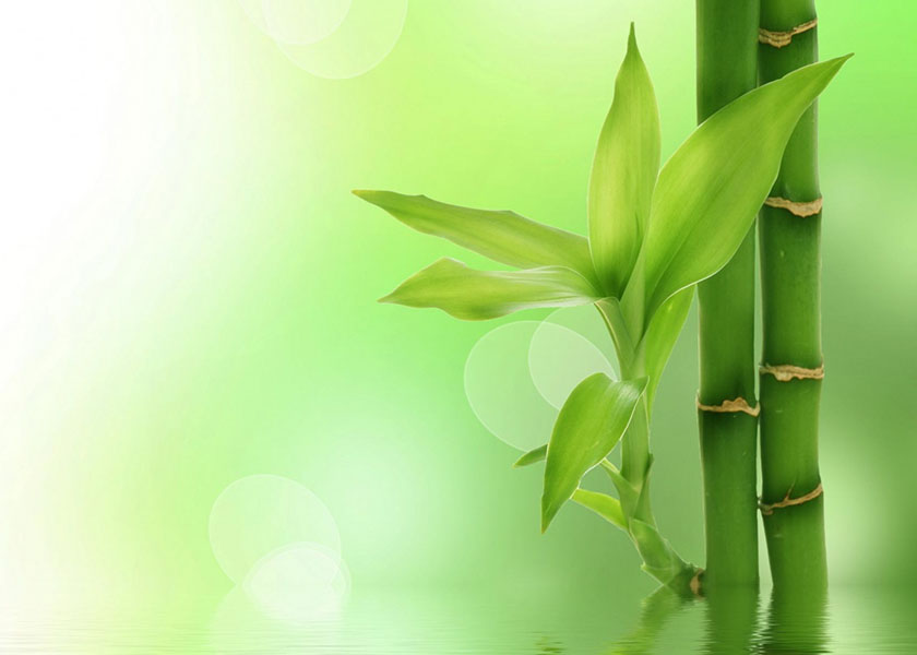 Image for article Percorrere con determinazione il sentiero della coltivazione