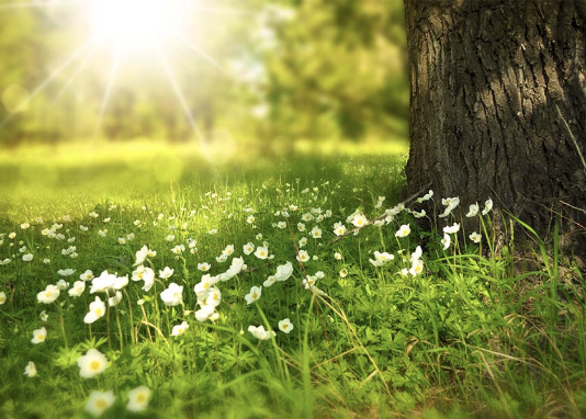 Image for article La mia esperienza nell'aiutare le persone ad abbandonare il PCC