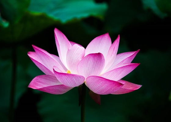 Image for article Ho scoperto i miei attaccamenti dopo che mio padre è stato truffato